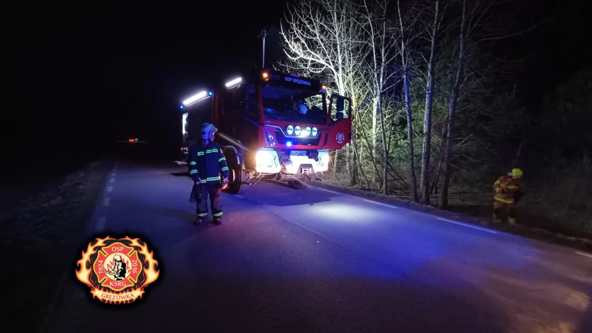 Pożar nieużytków na drodze Gręzówka-Biardy - Zdjęcie główne