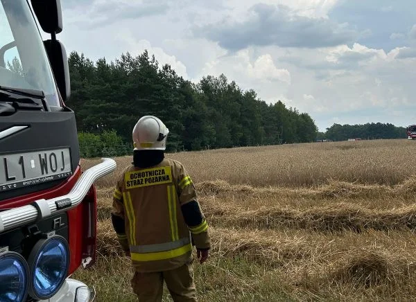 Pożar w powiecie łukowskim. Na miejscu 6 zastępów straży - Zdjęcie główne