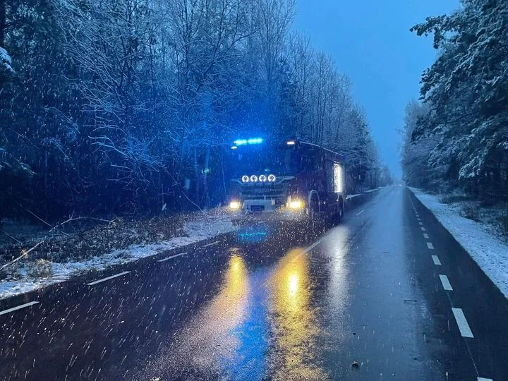 Drzewo przewróciło się na drogę na trasie Krzywda-Wola Okrzejska - Zdjęcie główne