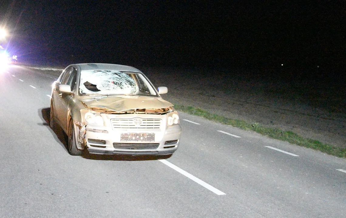 Tragiczny w wypadek w powiecie łukowskim. Nie żyje 65-latek potrącony przez samochód - Zdjęcie główne