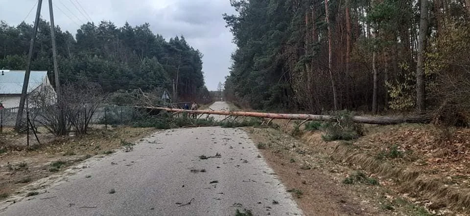 USUWANIE WIATROŁOMÓW 