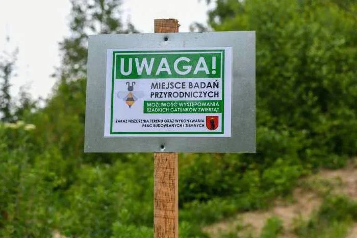 Łuków chroni owady. Powstanie "Pszczeli zakątek" na terenie dawnej strzelnicy - Zdjęcie główne