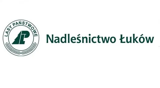 Regionalna Dyrekcja Lasów Państwowych w Warszawie przystępuje do opracowania projektu Planu Urządzenia Lasu dla Nadleśnictwa Łuków na lata 2025-2034 - Zdjęcie główne