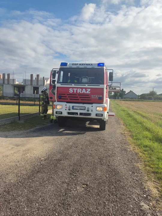 Lato przynosi więcej pracy strażakom z powiatu łukowskiego. Liczne interwencje z powodu gniazd os - Zdjęcie główne