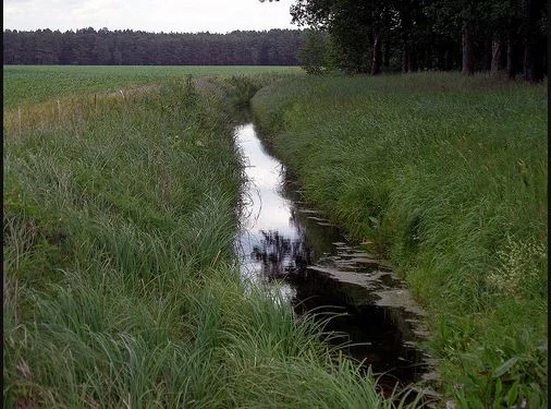 Melioracje użytków rolnych w Szaniawach – zaproszenie na spotkanie 30 października - Zdjęcie główne