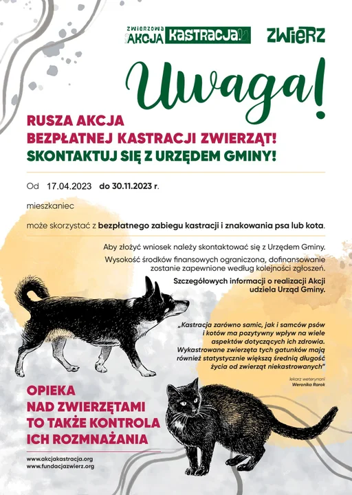 Gmina Trzebieszów organizuje bezpłatną kastrację psów i kotów - Zdjęcie główne