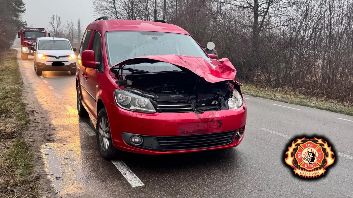 Zderzenie  volkswagena z sarną - Zdjęcie główne