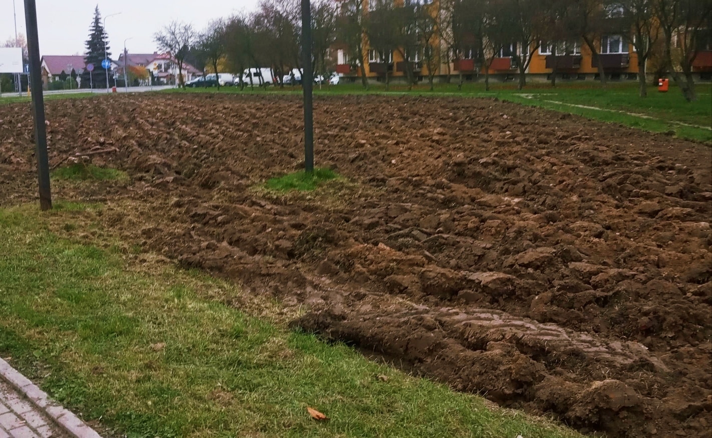 Zaorali trawnik na łukowskim osiedlu. Dlaczego? - Zdjęcie główne