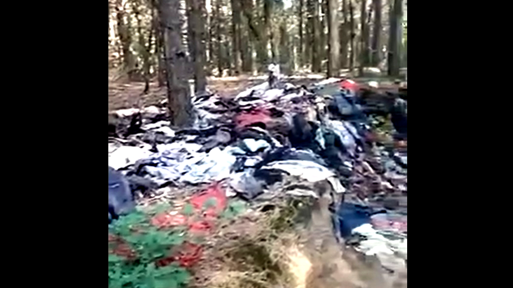 GMINA ŁUKÓW: Śmieci w lesie. "Trudno przejść obojętnie"  - Zdjęcie główne