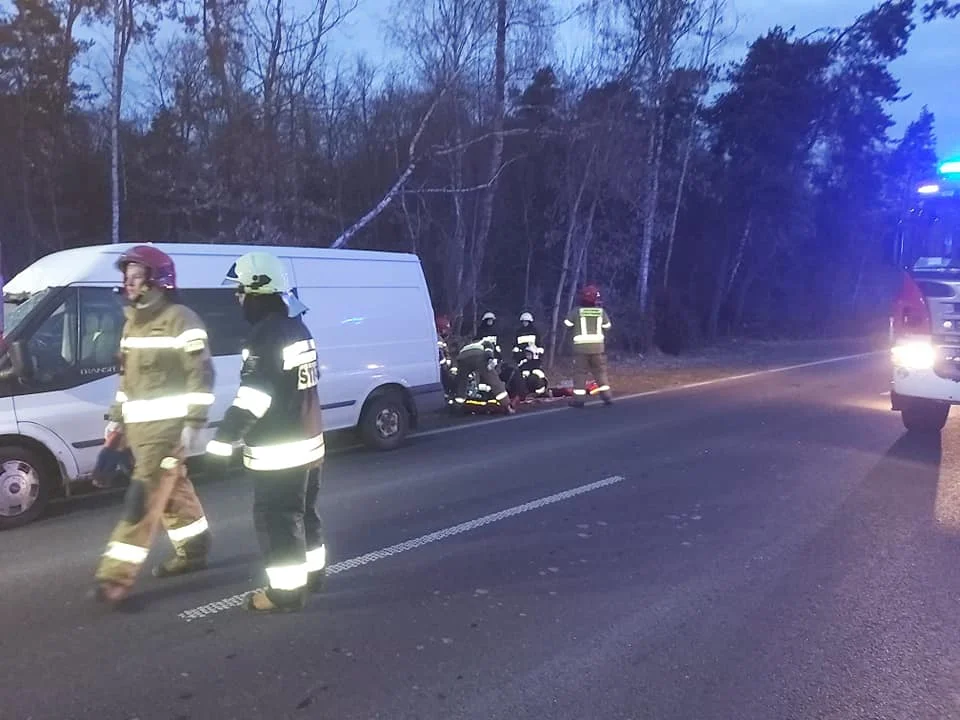 Zderzenie busa z jeleniem w Szczygłach Górnych - Zdjęcie główne