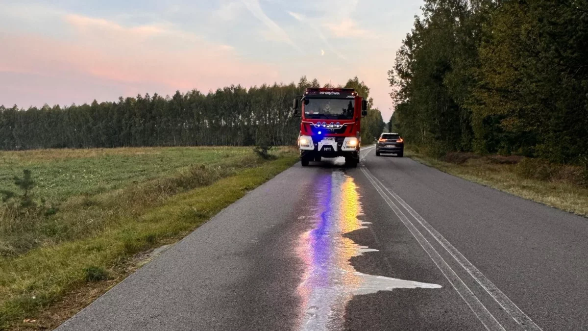 Chwilowe problemy na trasie Klimki - Gręzówka. Plama oleju na jezdni uniemożliwiała przejazd - Zdjęcie główne