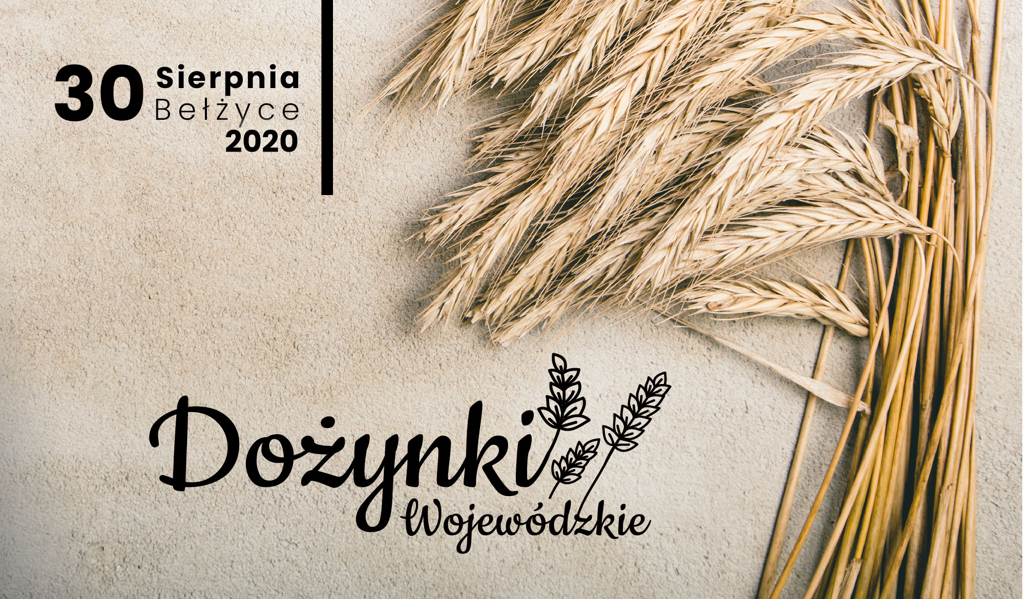 Dożynki Wojewódzkie 2020 w Bełżycach - Zdjęcie główne