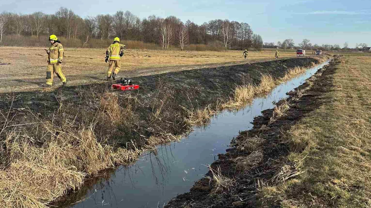 Seria pożarów, tylko jednego dnia straż interweniowała kilkukrotnie - Zdjęcie główne