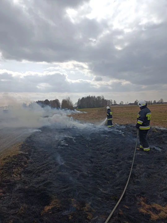 Płonęły nieużytki. Spalone 30 arów  - Zdjęcie główne