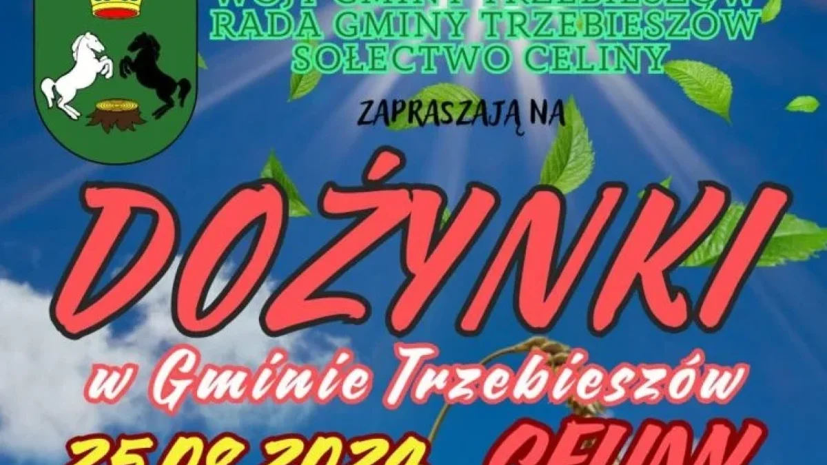 Dożynki w Gminie Trzebieszów. Moc atrakcji dla całej rodziny już 25 sierpnia - Zdjęcie główne