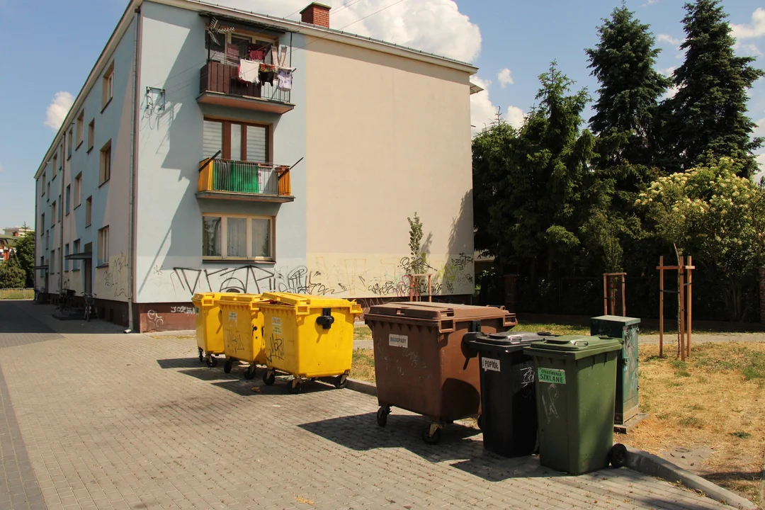 Nieznany sprawca podpalił śmietnik na ul. Browarnej w Łukowie - Zdjęcie główne