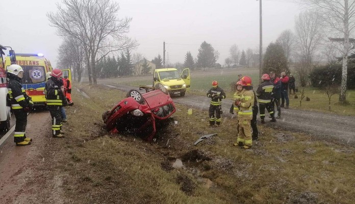 Dachowanie w Kolonii Wiśniew - Zdjęcie główne