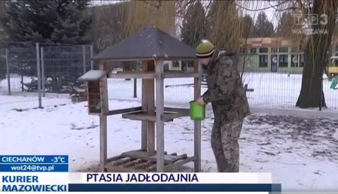 Dokarmiaj ptaki zimą - Zdjęcie główne