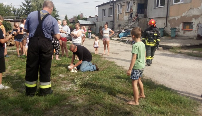 Bocian w kominie. Pomogli strażacy - Zdjęcie główne