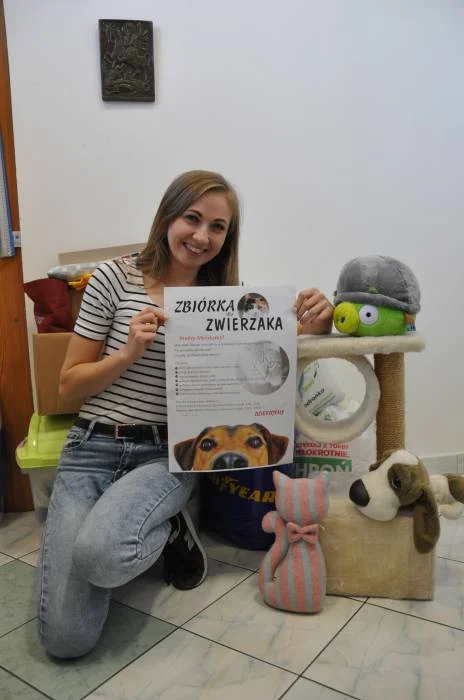 Trwa zbiórka dla psów i kotów, podopiecznych Stowarzyszenia Milejów Dla Zwierząt - Zdjęcie główne