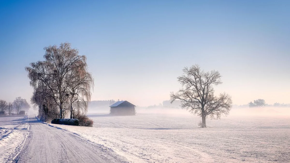 Dwucyfrowy mróz. Prognoza pogody na tydzień 17 - 23.02.2025 r - Zdjęcie główne