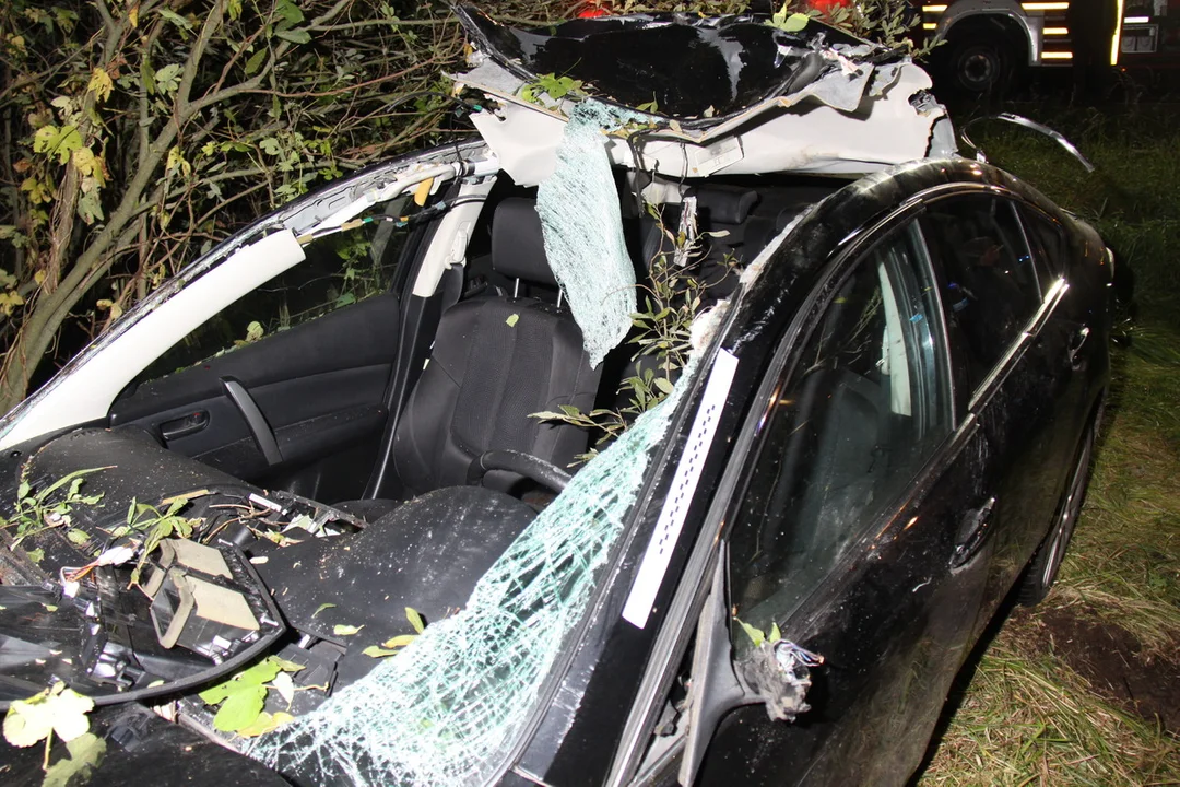 Poważny wypadek z łosiem w roli głównej na trasie Siedlce - Biała Podlaska - Zdjęcie główne