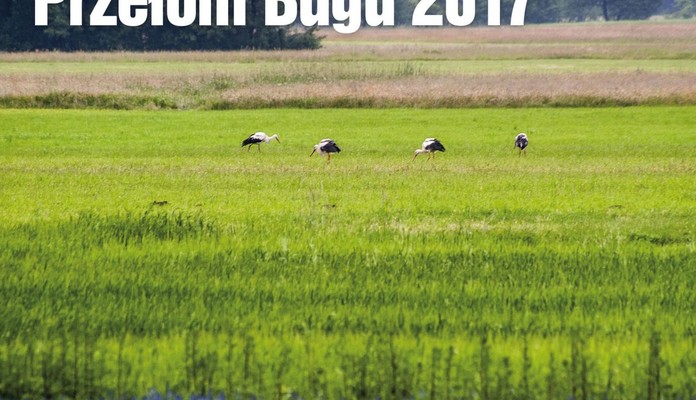 Wernisaż wystawy fotografii "Podlaski Przełom Bugu 2017" - Zdjęcie główne