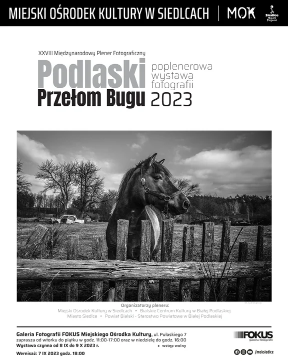 Wernisaż w siedleckiej Galerii Fokus - Zdjęcie główne