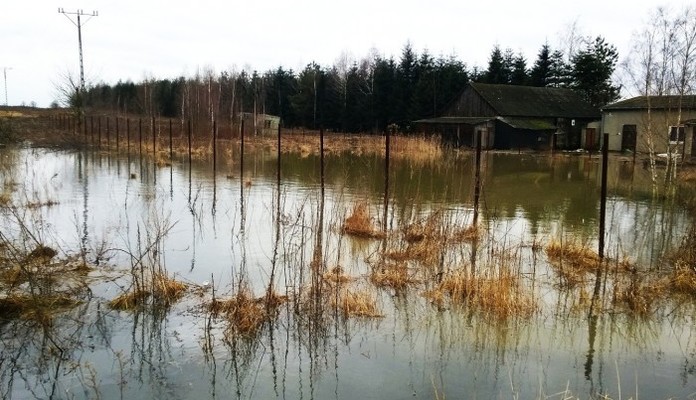 Lokalne zalania posesji - Zdjęcie główne