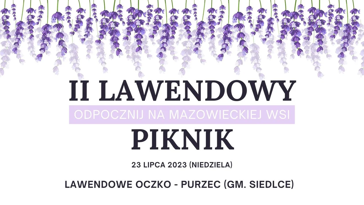 II Lawendowy Piknik - odpocznij na mazowieckiej wsi - Zdjęcie główne