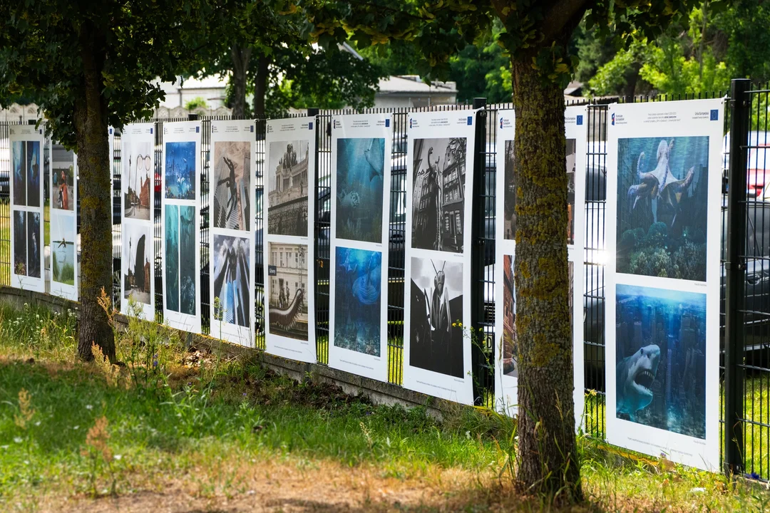 Siedlce: Galeria sztuki UwS na świeżym powietrzu - Zdjęcie główne