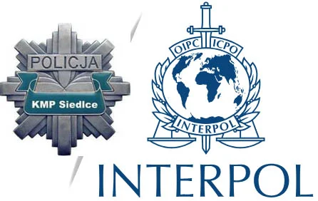 Siedleccy policjanci zatrzymali poszukiwanych przez Interpol - Zdjęcie główne