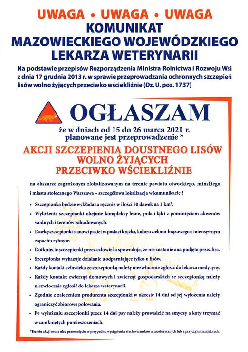 Wojewódzka akcja szczepienia lisów - Zdjęcie główne