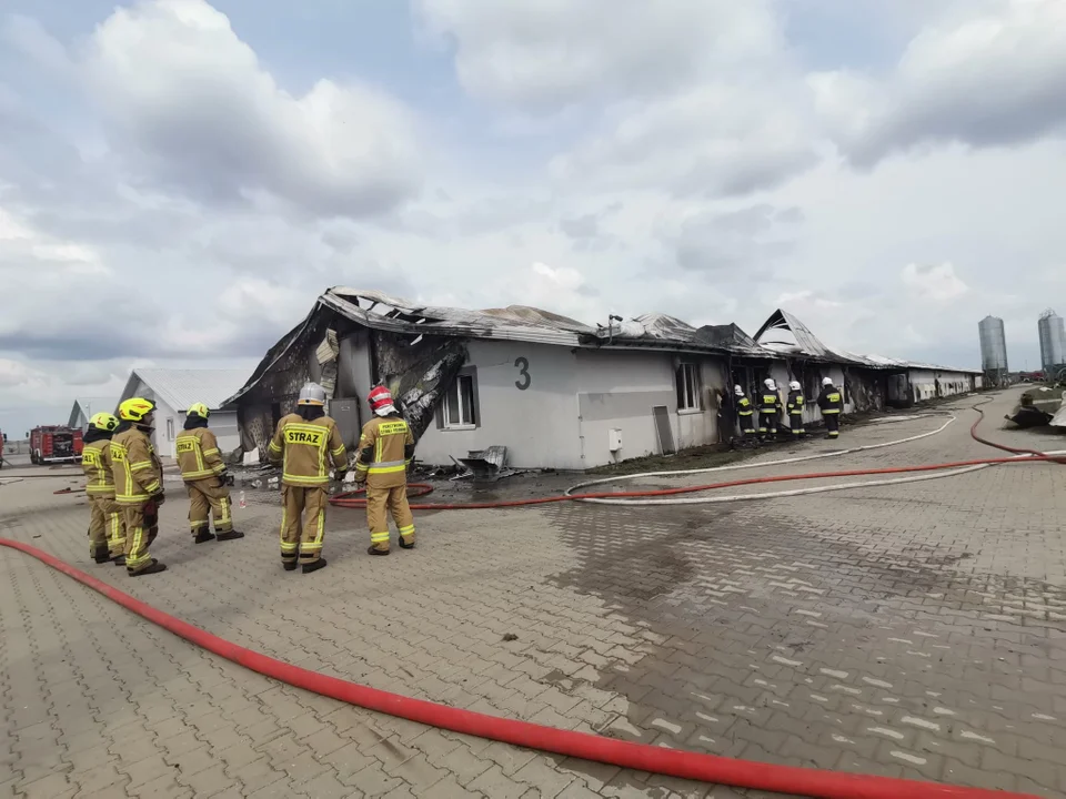 Pożar pod Siedlcami. To była trudna akcja gaśnicza. - Zdjęcie główne