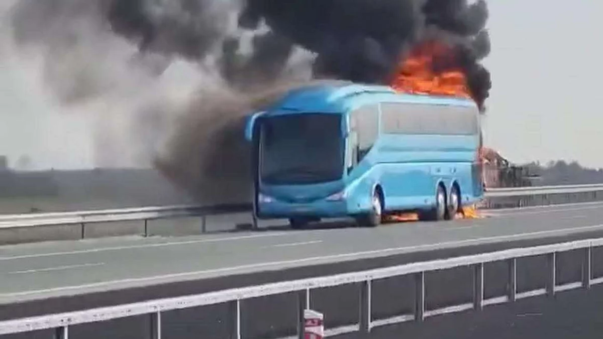 Pożar autobusu z uczniami siedleckiego liceum - Zdjęcie główne