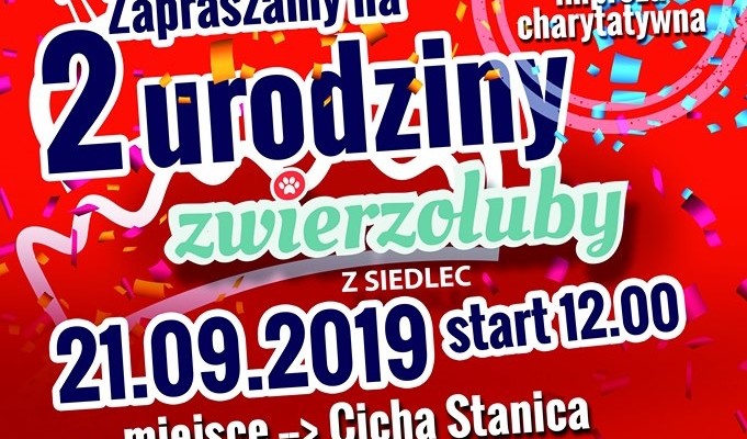 Zwierzoluby: świętuj i pomóż - Zdjęcie główne