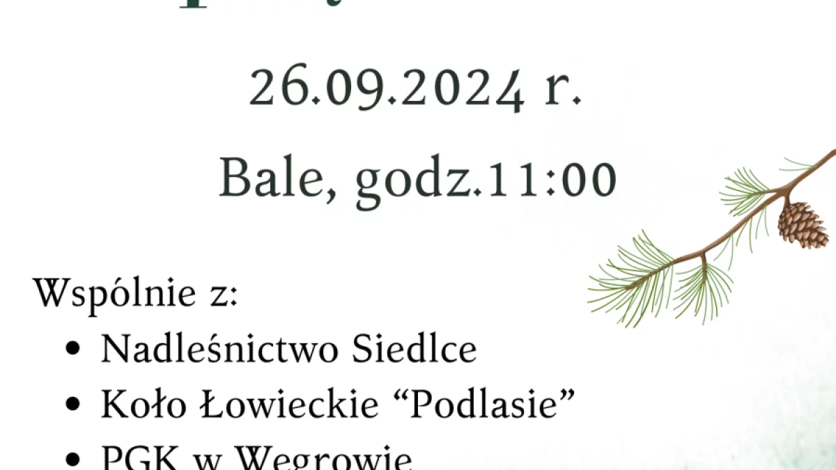 Mokobody: Akcja sprzątania lasów w Balach - Zdjęcie główne