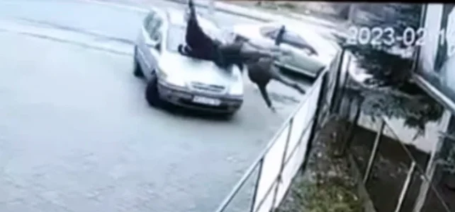 Nowe fakty w sprawie potrącenia trzech osób na ulicy Brzeskiej w Siedlcach [FILM] - Zdjęcie główne