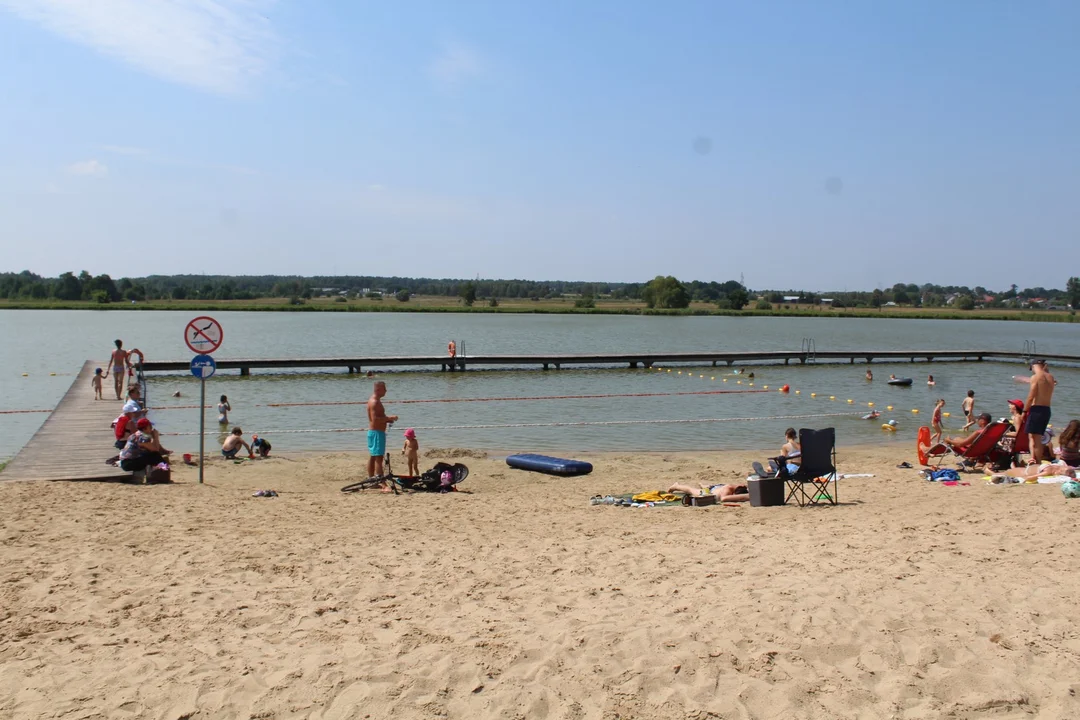 Śnięte ryby w zalewie siedleckim - Zdjęcie główne