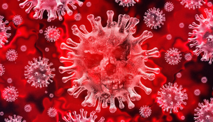 SIEDLCE: Dwa przypadki koronawirusa - Zdjęcie główne