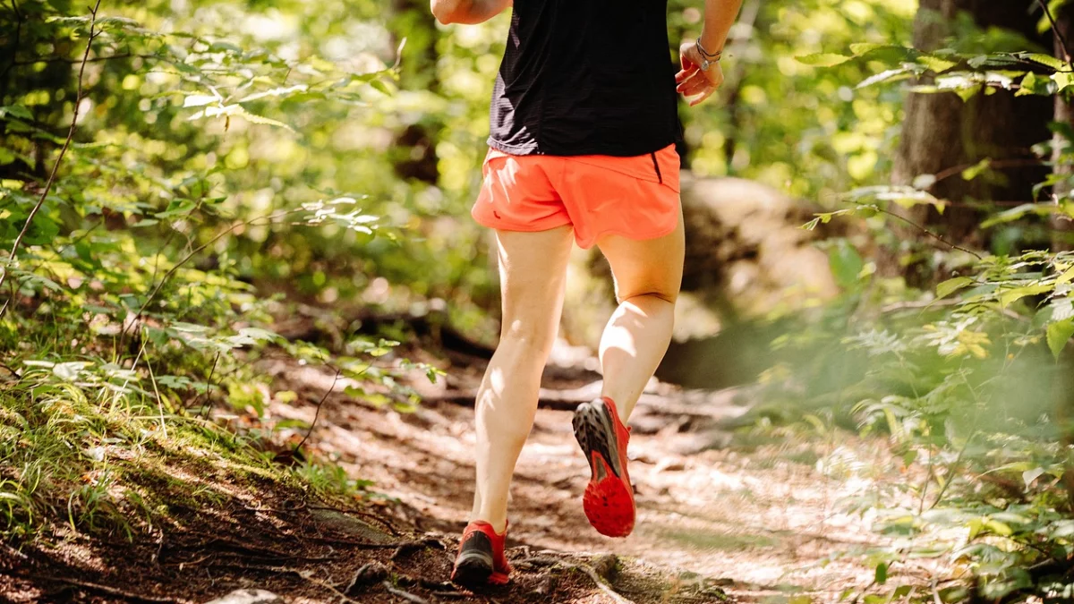 Pora zacząć treningi. Miasto ogłosiło datę Siedleckiego Maratonu na Raty - Zdjęcie główne