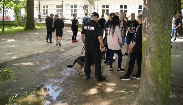 Działania profilaktyczno-prewencyjne policji w parku - Zdjęcie główne