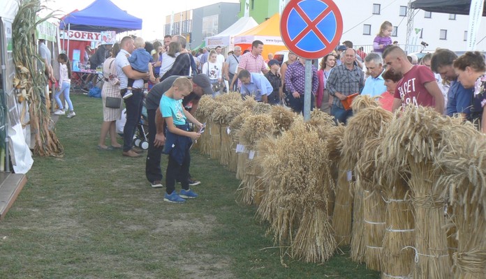 Za nami Dni Siedlec [GALERIA] - Zdjęcie główne