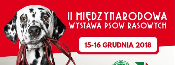 Wystawa Psów Rasowych  - Zdjęcie główne