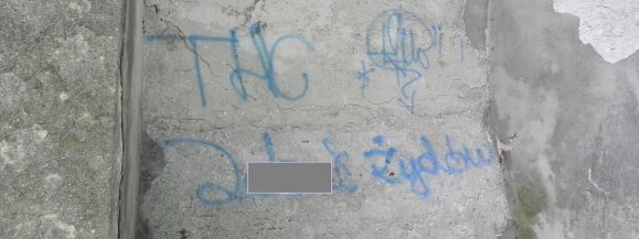 Namalował wulgarny napis na łęczyńskiej synagodze - Zdjęcie główne
