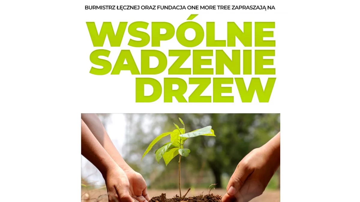 Łęczna: Wspólnie zasadzą 1500 drzew - Zdjęcie główne