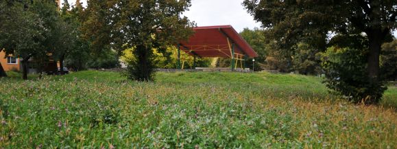 Miasto weźmie się za koszenie  - Zdjęcie główne