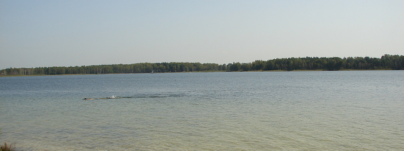 Pijany 51-latek utonął w jeziorze Piaseczno - Zdjęcie główne