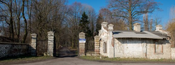 Utonął w parkowym stawie - Zdjęcie główne