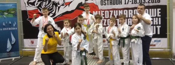 Kolejny sukces naszych taekwondzistów  - Zdjęcie główne